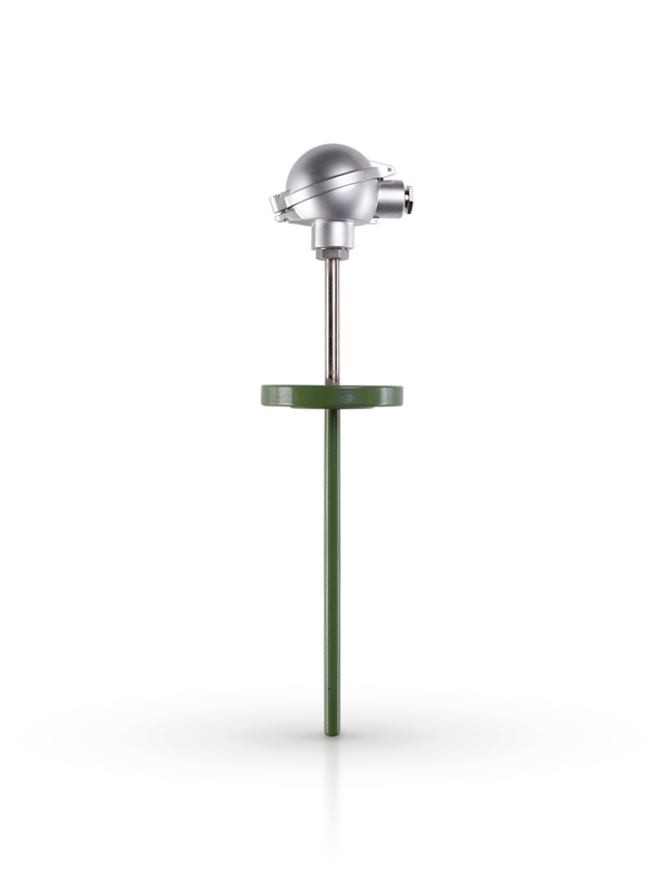Resistance thermometer with welded on blank flanges